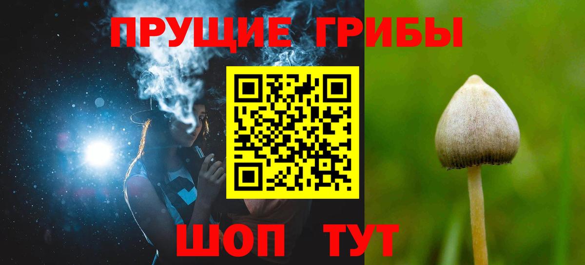 Псилоцибиновые грибы GOLDEN TEACHER  Вход с VPN  Псилоцибиновые грибы GOLDEN TEACHER  Вышний Волочёк 